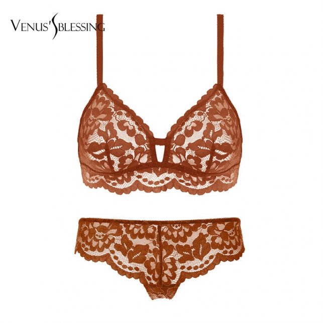 VENUS'S BLESSING sexy lace bra set push up bralette transparent erotic lingerie women underwear set