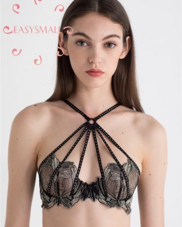 EASYSMALL Secret agent sexy push up bra lingerie Diamond lingerie femme modis Underwear plus size invisible women bras