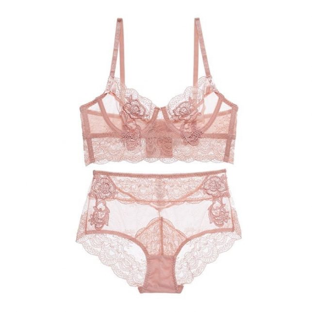 Luxury Sexy lingerie set Transparent Embroidery Lace Bra And Panties Set See Through Women Underwear Plus Size B C D Brassiere