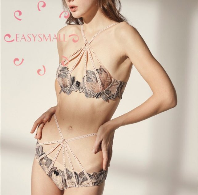 EASYSMALL Secret agent sexy push up bra lingerie Diamond lingerie femme modis Underwear plus size invisible women bras
