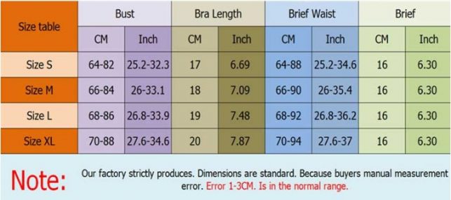 3pcs Set Women Transparent Bra Set + Garter Black Sexy Lingerie Lace Lenceria Plus Size Underwear