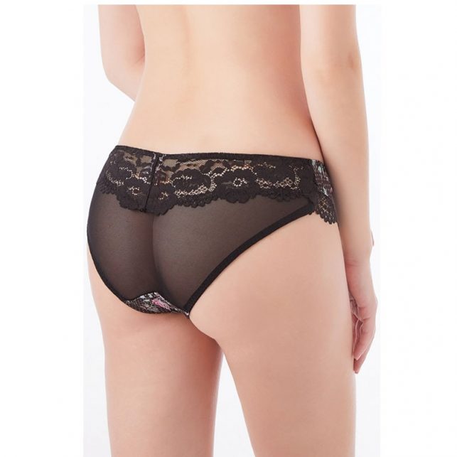 New Sexy Women Lace Bra Sets 1/2 Cup Underwire Underwear Set Transparent Briefs Lingerie Cotton Panty Plus Size Adhesive Bras