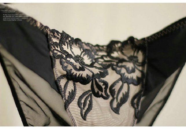 Sexy Black Lingerie Set Women Lady's Underwear bra brief Sets Sexy Lace Embroidery Push Up Transparent Bra and Panties